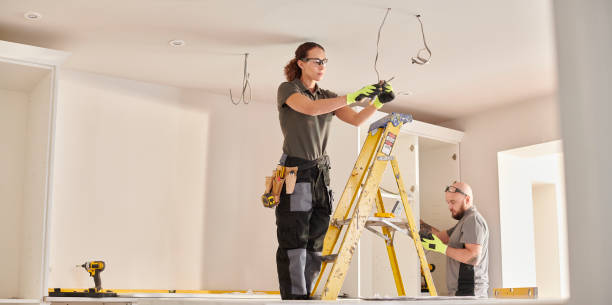 Best Electrical System Inspection  in Delavan, IL