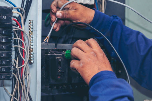 Best Affordable Electrician  in Delavan, IL
